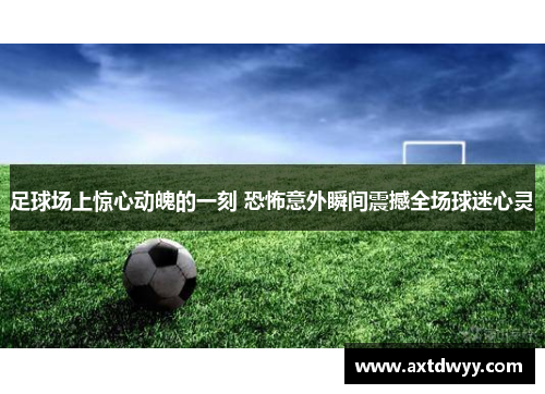 足球场上惊心动魄的一刻 恐怖意外瞬间震撼全场球迷心灵