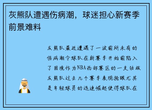 灰熊队遭遇伤病潮，球迷担心新赛季前景难料